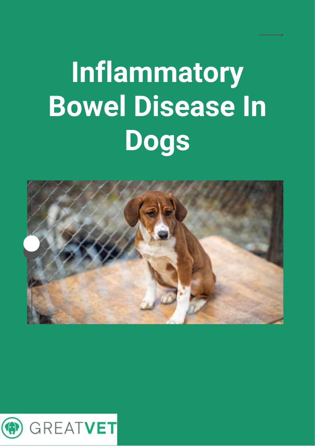 what can i feed my dog with inflammatory bowel disease