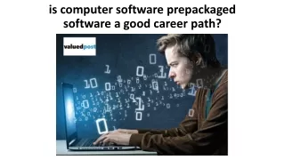 is computer software prepackaged software a good career path
