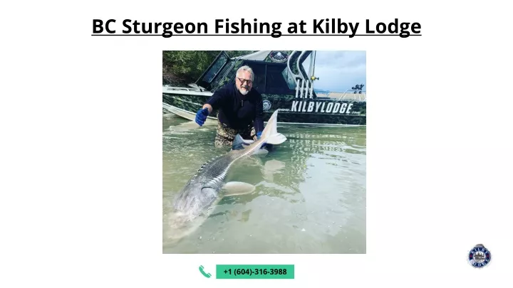 bc sturgeon fishing at kilby lodge
