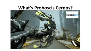 what s proboscis cernos