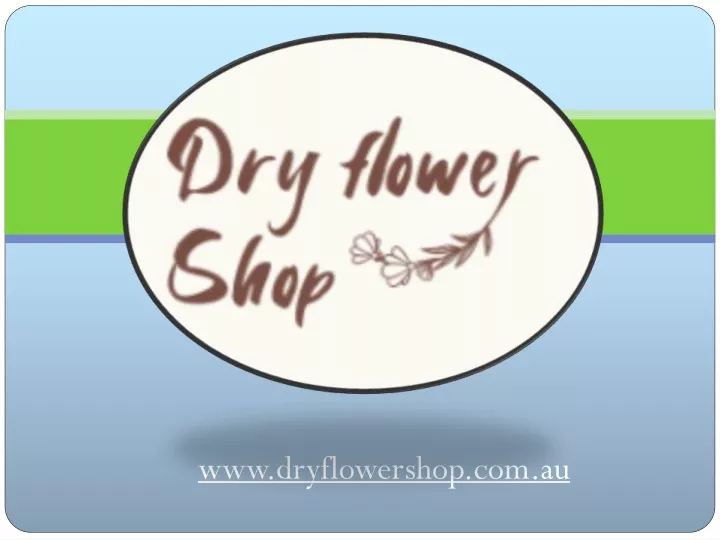 www dryflowershop com au