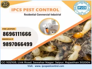 Best Pest Control Service in Jaipur