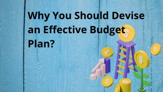 Why is Effective Budget Plan for Business?