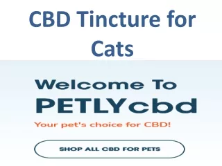 CBD Tincture for Cats