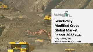 Genetically Modified Crops Market Trends, Market Share, Industry Size, Opportuni