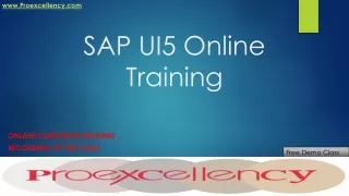 Pro-excellency provides SAP UI5 Online Training.