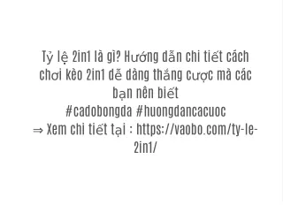 t l 2in1 l g h ng d n chi ti t c ch ch i k o 2in1