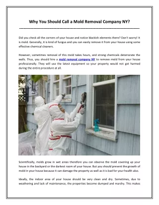 Why you should call a mold removal company NY?