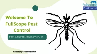 Pest Control Montgomery TX - FullScope Pest Control