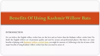 Benefits Of Using Kashmir Willow Bats