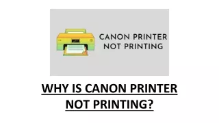 WHY IS CANON PRINTER NOT PRINTING_