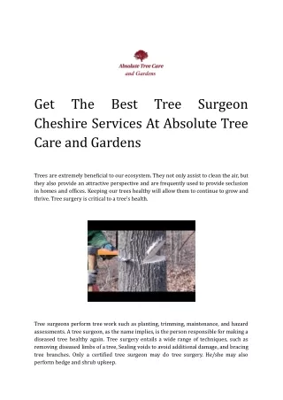 Get The Best Tree Surgeon Cheshire Services At Absolute Tree Care and Gardens