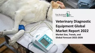 Global Veterinary Diagnostic Equipment Market Competitive Strategies