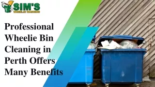 Professional Wheelie Bin Cleaning in Perth Offers Many Benefits