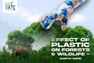 Effect of Plastic on Forests & Wildlife | Plastic Pollution Impact