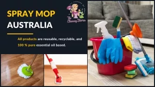 Advantages of Spray Mop