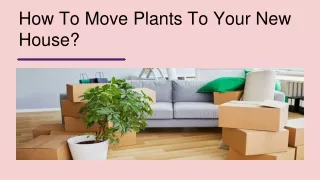 How To Move Plants To Your New House