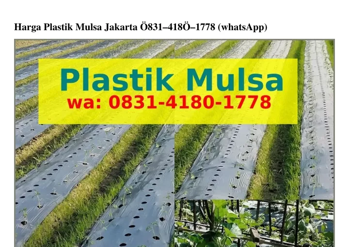 harga plastik mulsa jakarta 831 418 1778 whatsapp