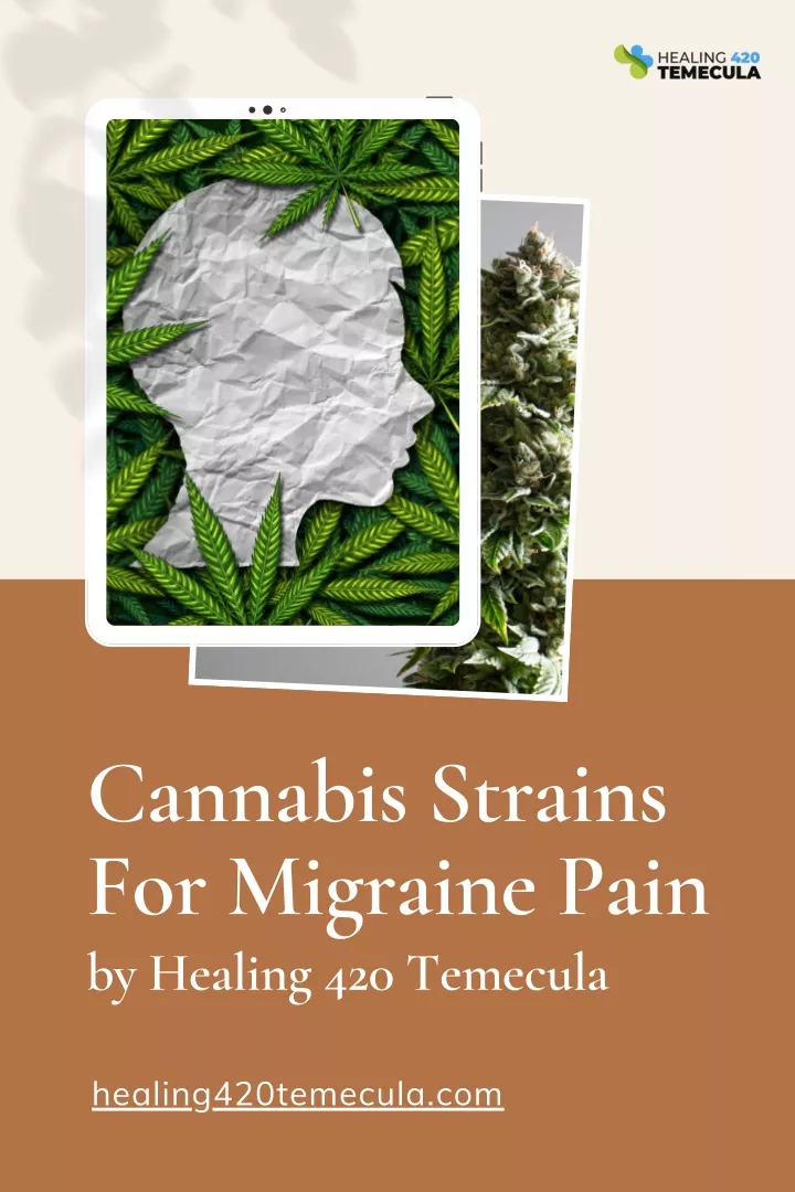 cannabis strains for migraine pain by healing