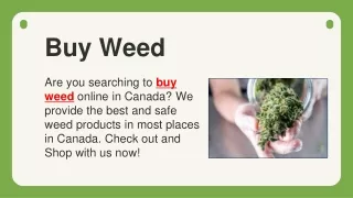 Buy Weed