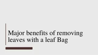 Major benefits of removing leaves with a leaf Bag