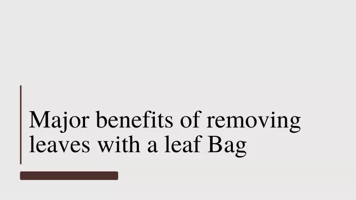 major benefits of removing leaves with a leaf bag