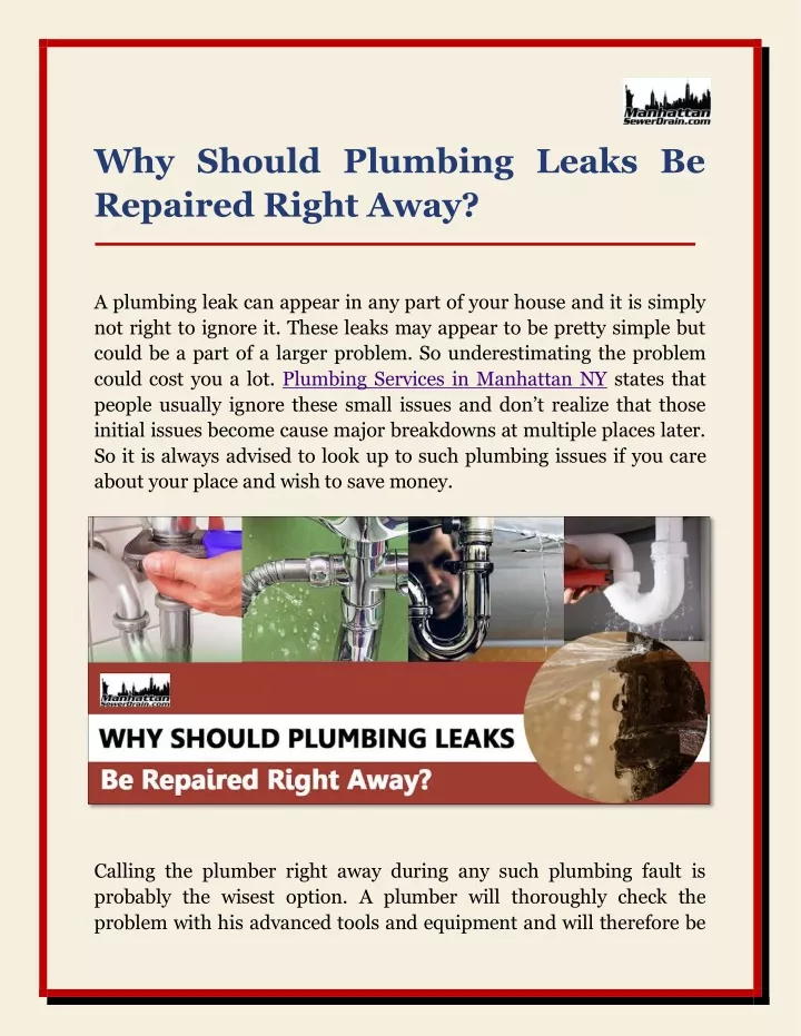 why should plumbing leaks be repaired right away