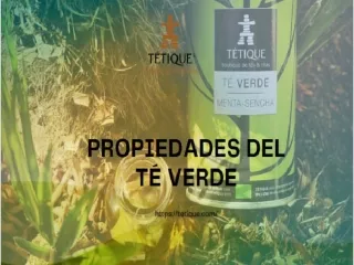 Conoce las propiedades del té verde en Tétique - Boutique