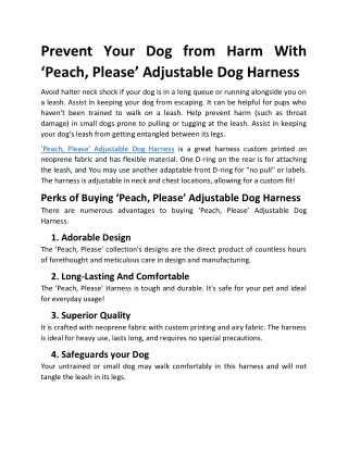 ‘Peach, Please’ Adjustable Dog Harness