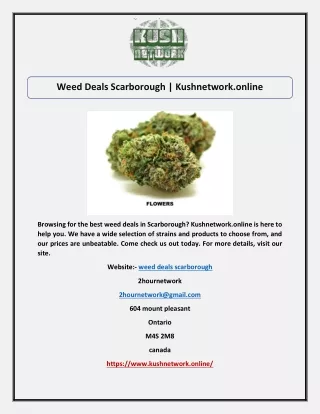 Weed Deals Scarborough | Kushnetwork.online