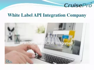 white label api integration company