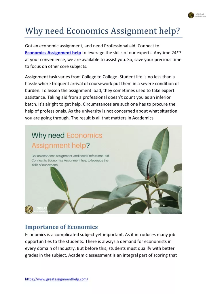 why need economics assignment help