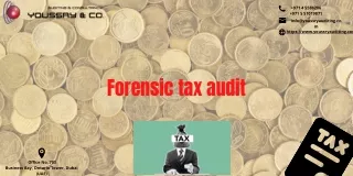 Forensic tax audit