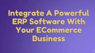 Integrate A Powerful ERP Software With Your ECommerce Business