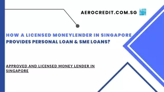 How a Licensed Moneylender in Singapore Provides Personal Loan & SME loans?