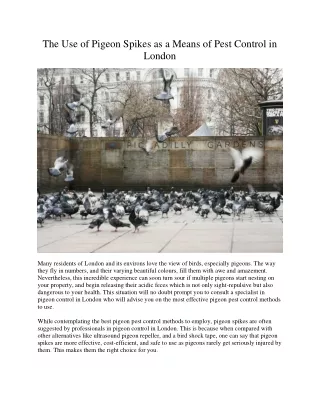 the use of pigeon spikes as a means of pest