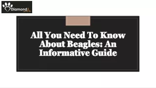 All You Need To Know About Beagles: An Informative Guide