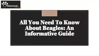 all you need to know about beagles an informative guide