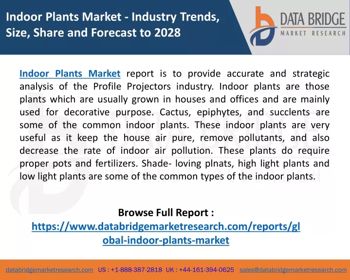 indoor plants market industry trends size share