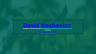 David Sechovicz Gardener