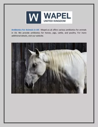 Antibiotics for Animals in Uk  Wapel.co.uk