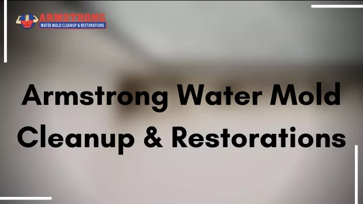 armstrong water mold cleanup restorations