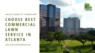 Choose Best Commercial Lawn Service in Atlanta
