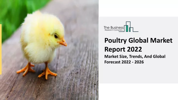 poultry global market report 2022 market size