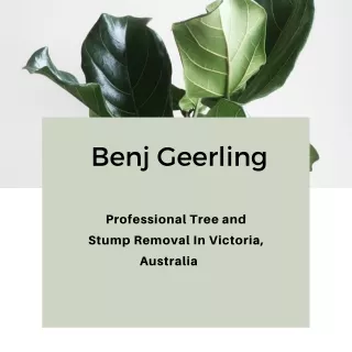 Benj Geerling - Professional Tree and Stump Removal In Victoria, Australia