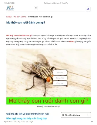 Mơ thấy con ruồi đánh con gì_ - Kubet Ab