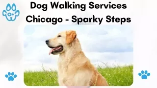 Dog Walking Services Chicago - Sparky Steps
