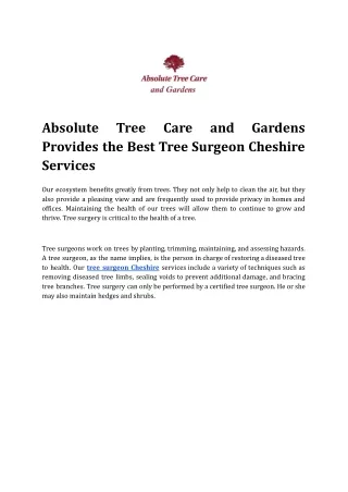 Absolute Tree Care and Gardens Provides the Best Tree Surgeon Cheshire Services