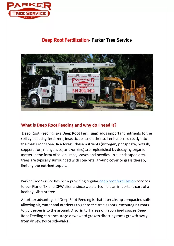 deep root fertilization parker tree service