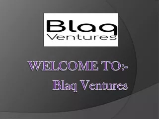 Blaq Ventures